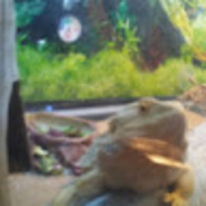 Meet your Posher, Jake